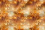 VORBESTELLUNG * Autumn Bokeh Blätter * - Eigenproduktion -5