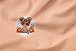 Vorbestellung * Autumn Chibi Girl* - Eigenproduktion 2