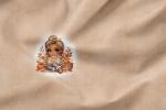 Vorbestellung * Autumn Chibi Girl* - Eigenproduktion 3