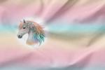 Vorbestellung * Beautiful Boho Horses - Eigenproduktion - 2