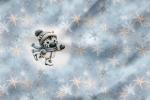 Vorbestellung * Zebra Ice Skater * - Eigenproduktion - Kopie