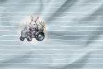 Vorbestellung * Cute Easter Bunny * Eigenproduktion - 6 - Traktor