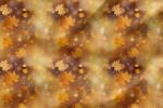 VORBESTELLUNG * Autumn Bokeh Blätter - Eigenproduktion