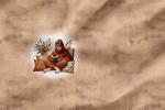 Vorbestellung *Autumn Cozy Girl * - Eigenproduktion - 4