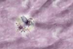 Vorbestellung *Watercolor Unicorn* - Eigenproduktion - 1