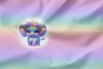 Vorbestellung *Sweet Elefant* - Eigenproduktion - 2