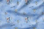 VORBESTELLUNG * Winter Fairy  Muster Frozen Glitter * - Eigenproduktion