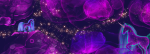 Softshell Vorbestellung * Glimmer Unicorn* Panel inkl Kombi - Eigenproduktion- Purple