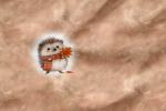 Vorbestellung *Autumn Animals* - Eigenproduktion - 1