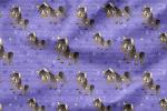 * Pferdeliebe -Muster- Eigenproduktion - purple- Schnubbirella