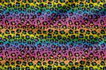 VORBESTELLUNG * Rainbow Leo * - Eigenproduktion