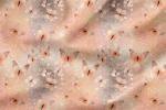VORBESTELLUNG * Schmetterlinge Bokeh * - Eigenproduktion