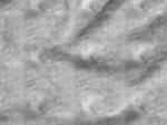 VORBESTELLUNG * Glitter Tinte * - Eigenproduktion - Silber/ Weiß