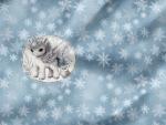 Vorbestellung * Snow Unicorn - Eigenproduktion 1